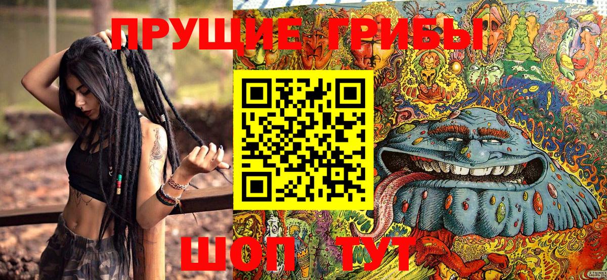 Галлюциногенные грибы мухоморы Амурск